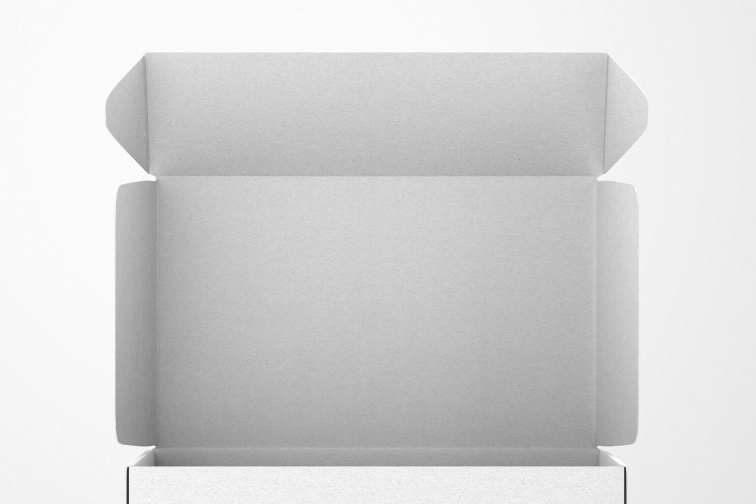 Mailer Box Mockup MasterBundles