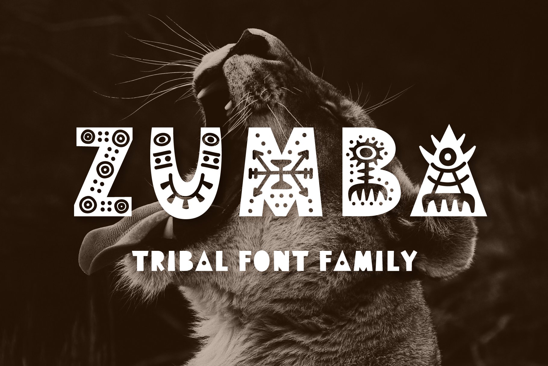 Zumba Tribal Font Family cover image.