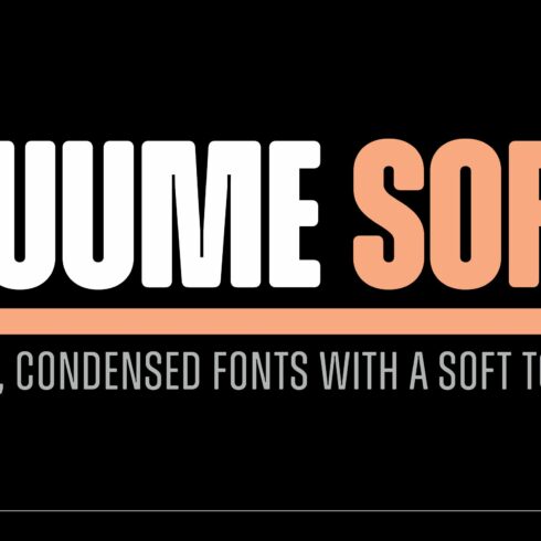 Zuume Soft Font Family cover image.
