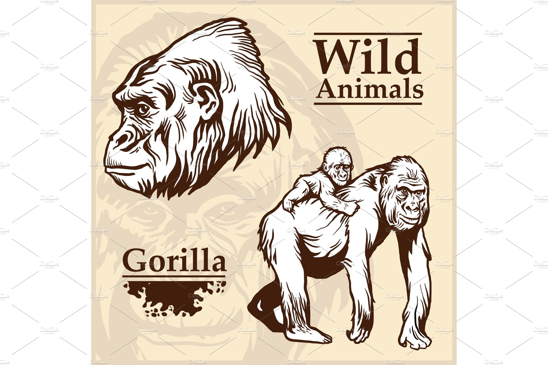 Head Gorilla and African female cover image.