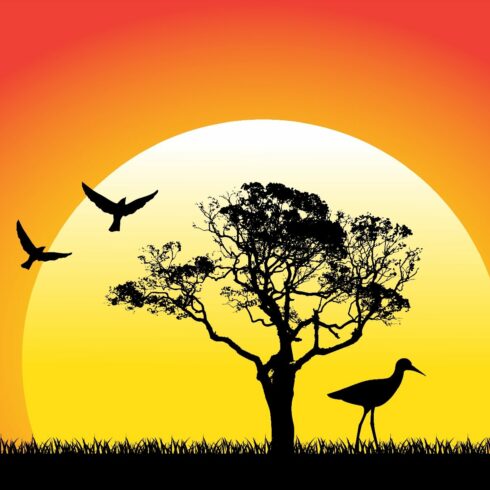 nature and birds on sunset backgroun cover image.