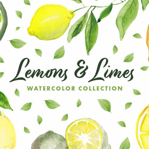 Lemons & Limes Watercolor Collection cover image.