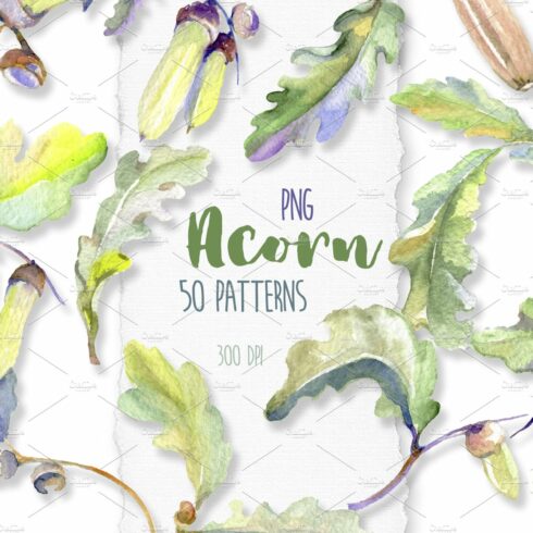 Acorn Watercolor png cover image.