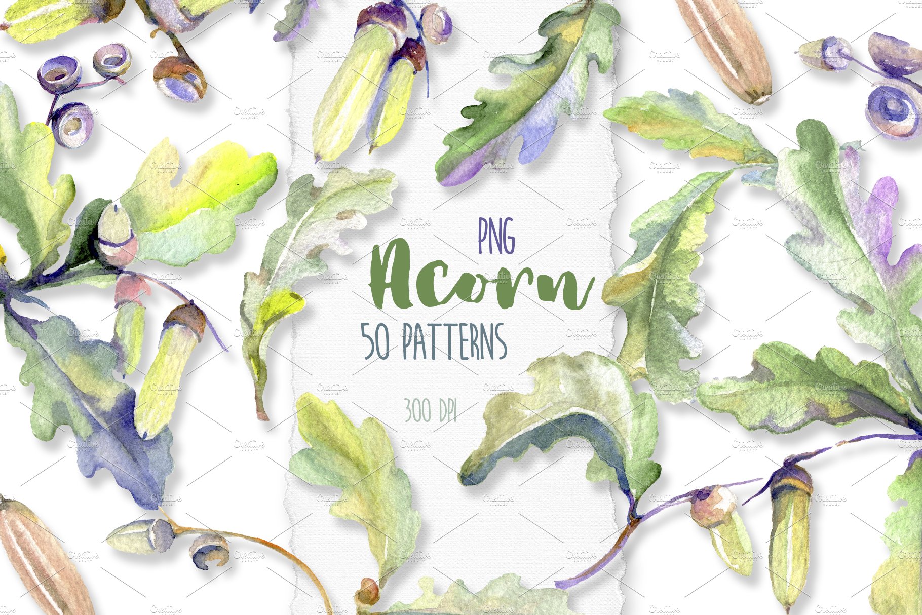 Acorn Watercolor png cover image.