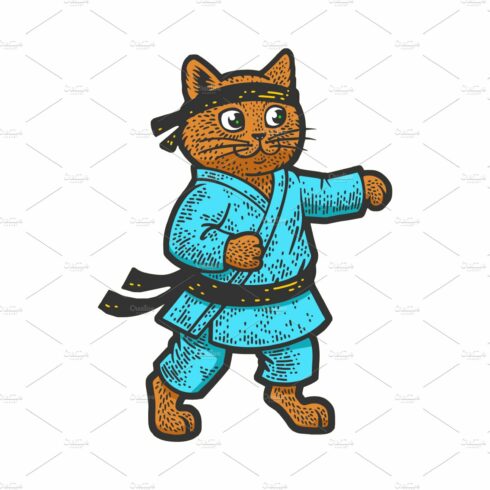 karate cat color sketch vector cover image.