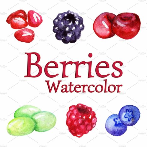 Watercolor berry vector isolated set cover image.