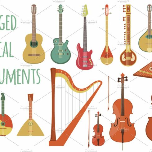 Stringed Musical Instruments cover image.