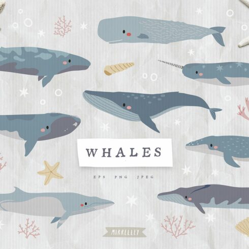 Cute Whales collection cover image.