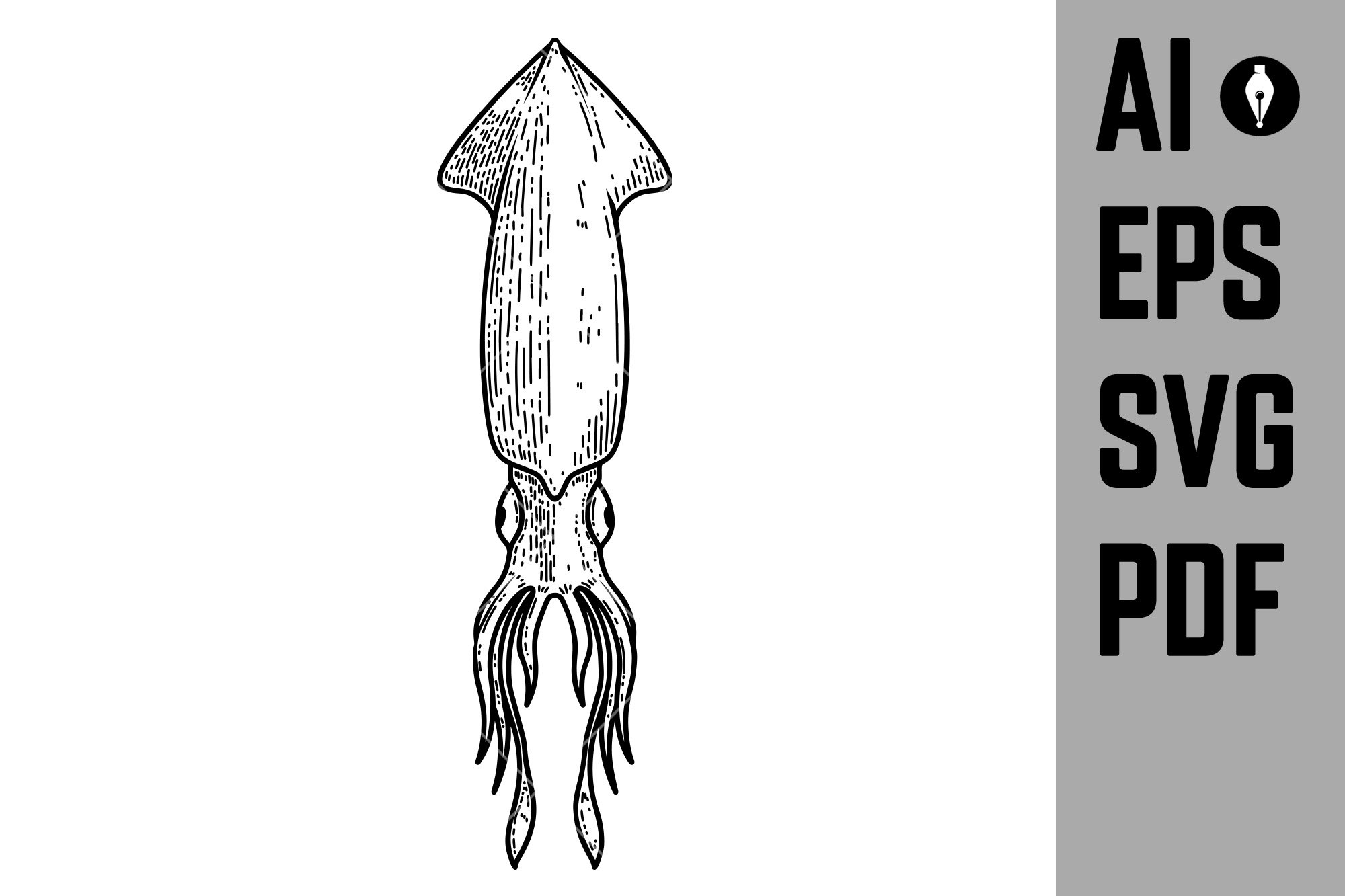 illustration of squid in engraving cover image.