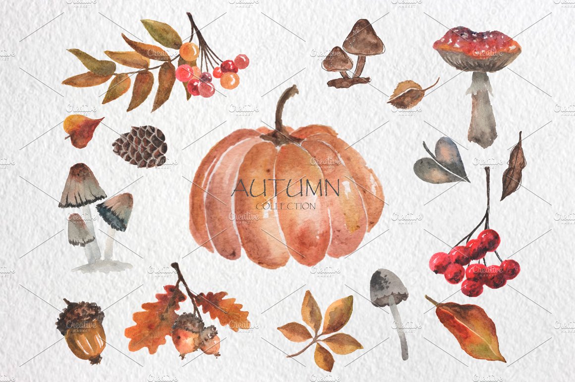 Autumn Watercolor Set cover image.