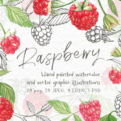 Raspberry Graphic&Watercolor clipart cover image.