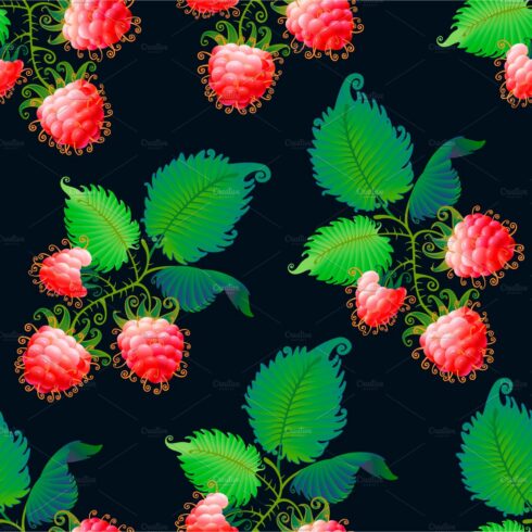 Raspberry. Art and patterns cover image.