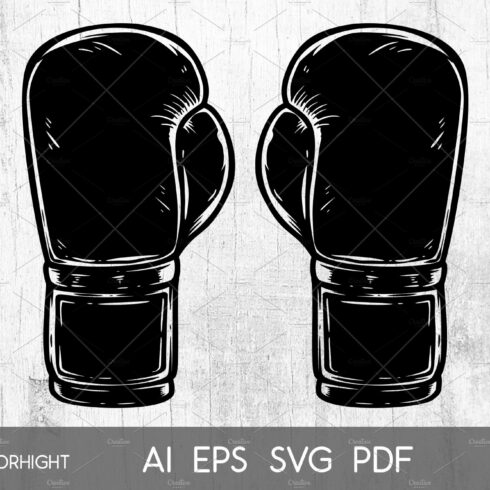 Illustration of boxing gloves cover image.