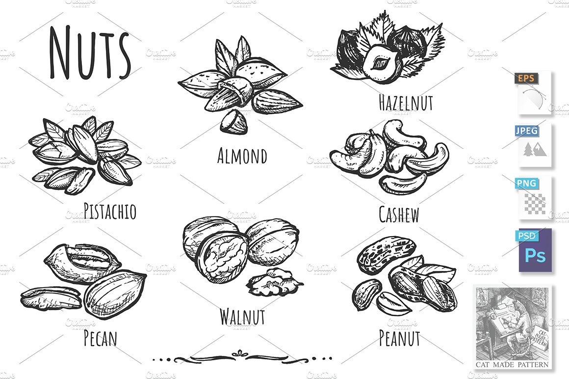 Various kinds of nuts cover image.