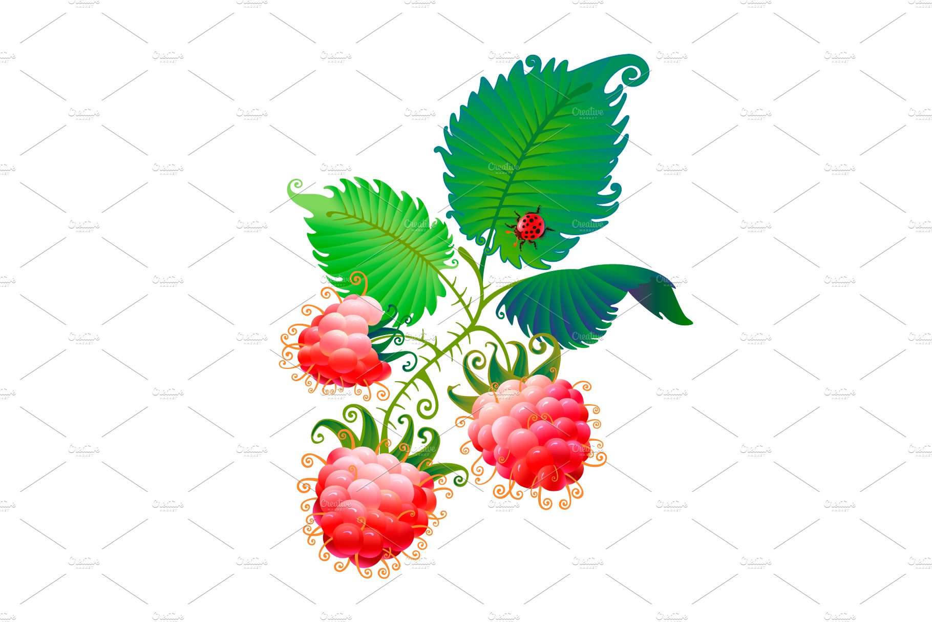 Raspberry. Art and patterns preview image.