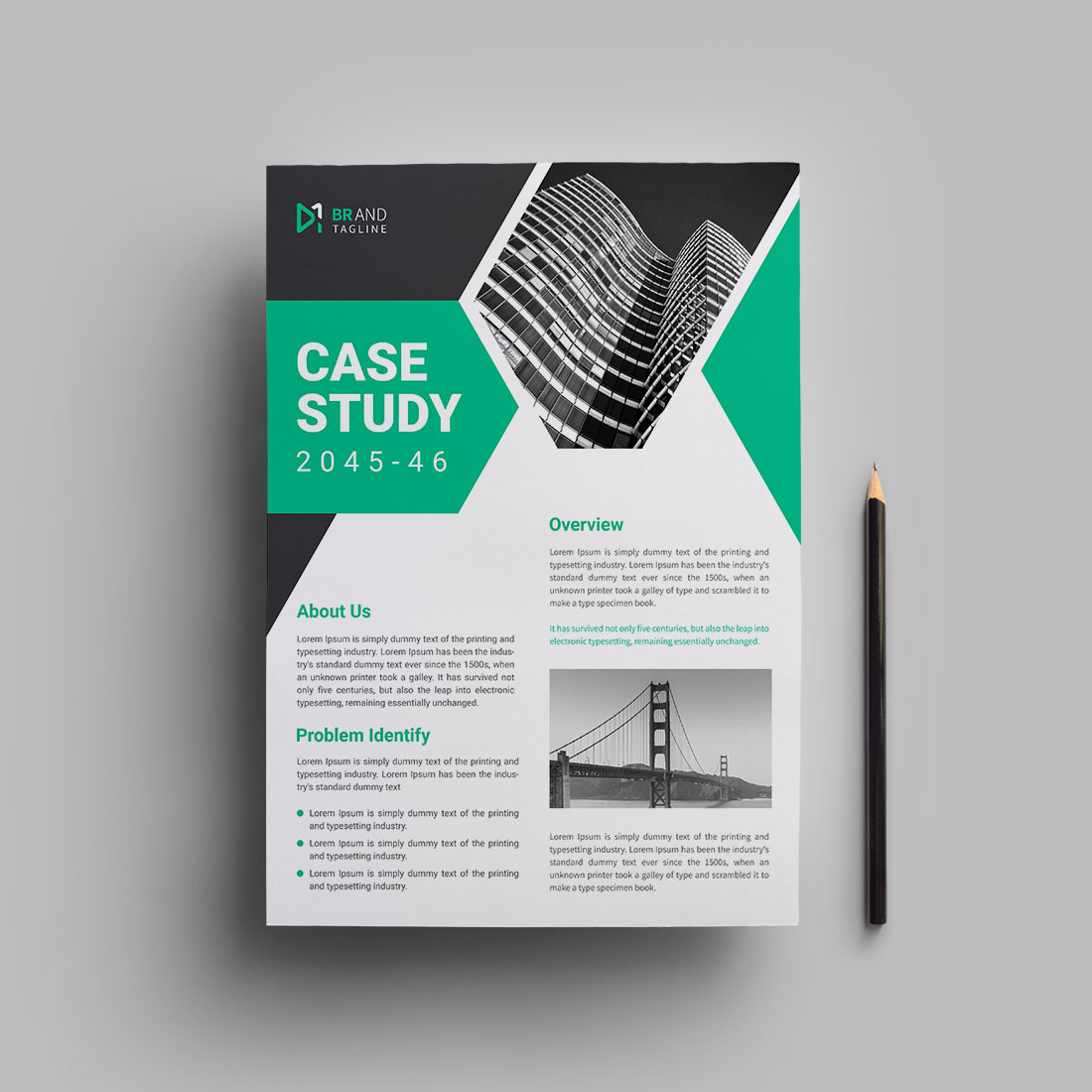 Case study flyer design template preview image.