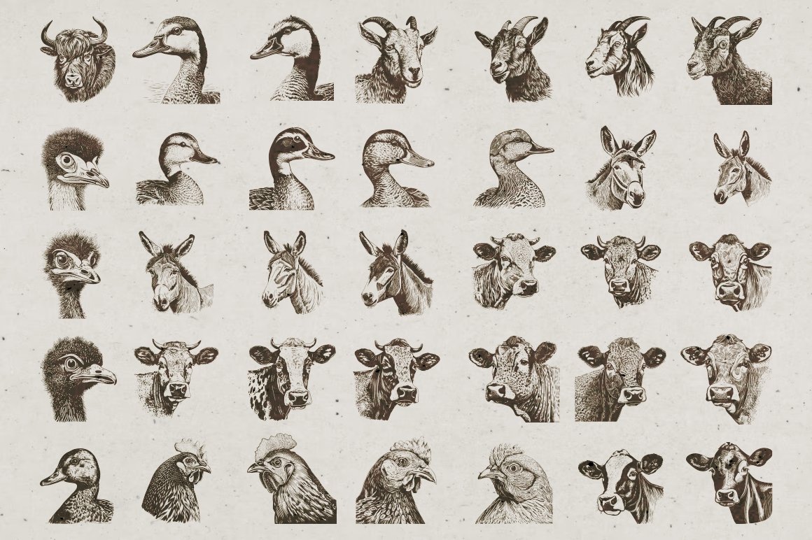 Farm Animals Illustrations preview image.