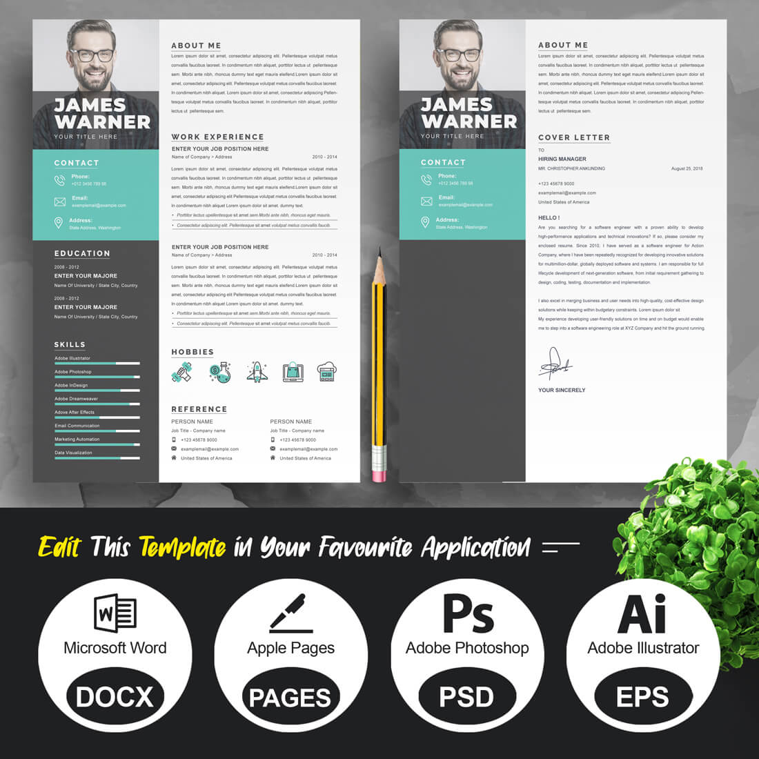 Professional Resume Template for Career Advancement in Business preview image.