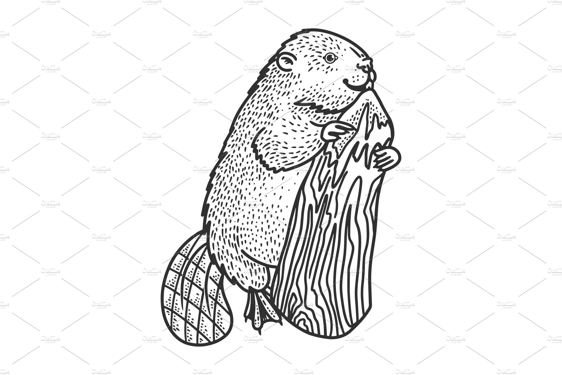 beaver and tree sketch vector cover image.