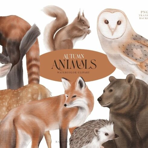 Watercolour Autumn Animals PNG cover image.