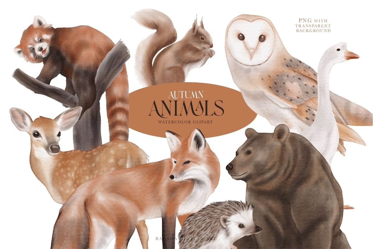 Watercolour Autumn Animals PNG cover image.