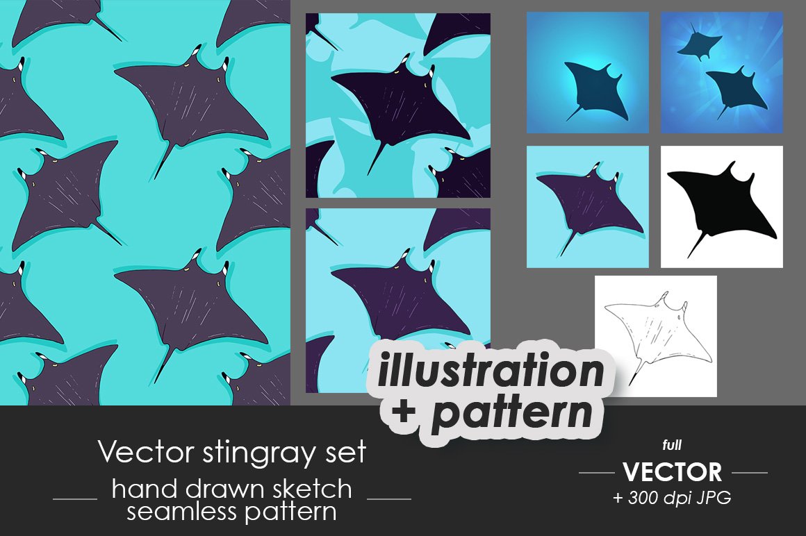 Stingray illustrations, patterns cover image.