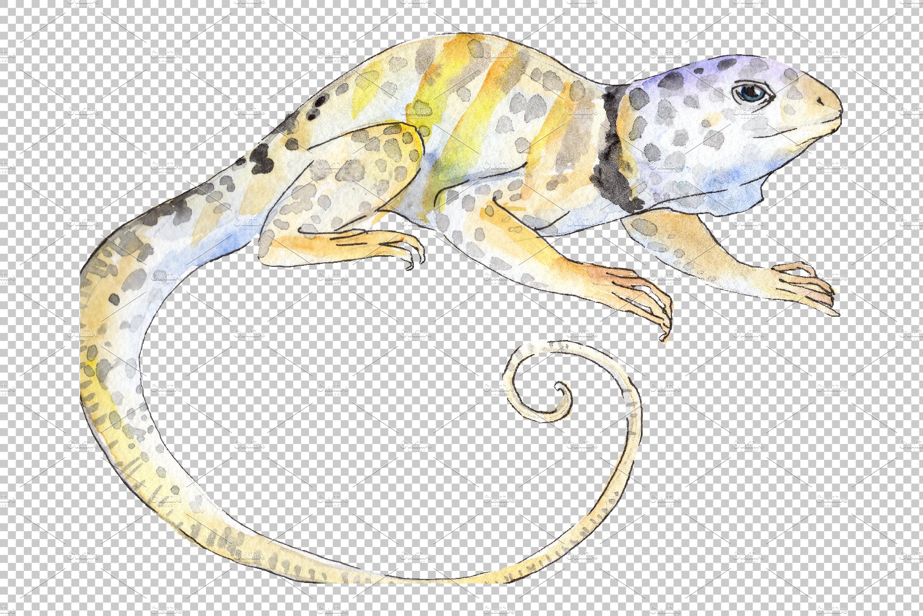 Iguana-1 Watercolor png preview image.