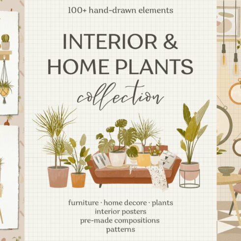 Interior & home plants collection cover image.
