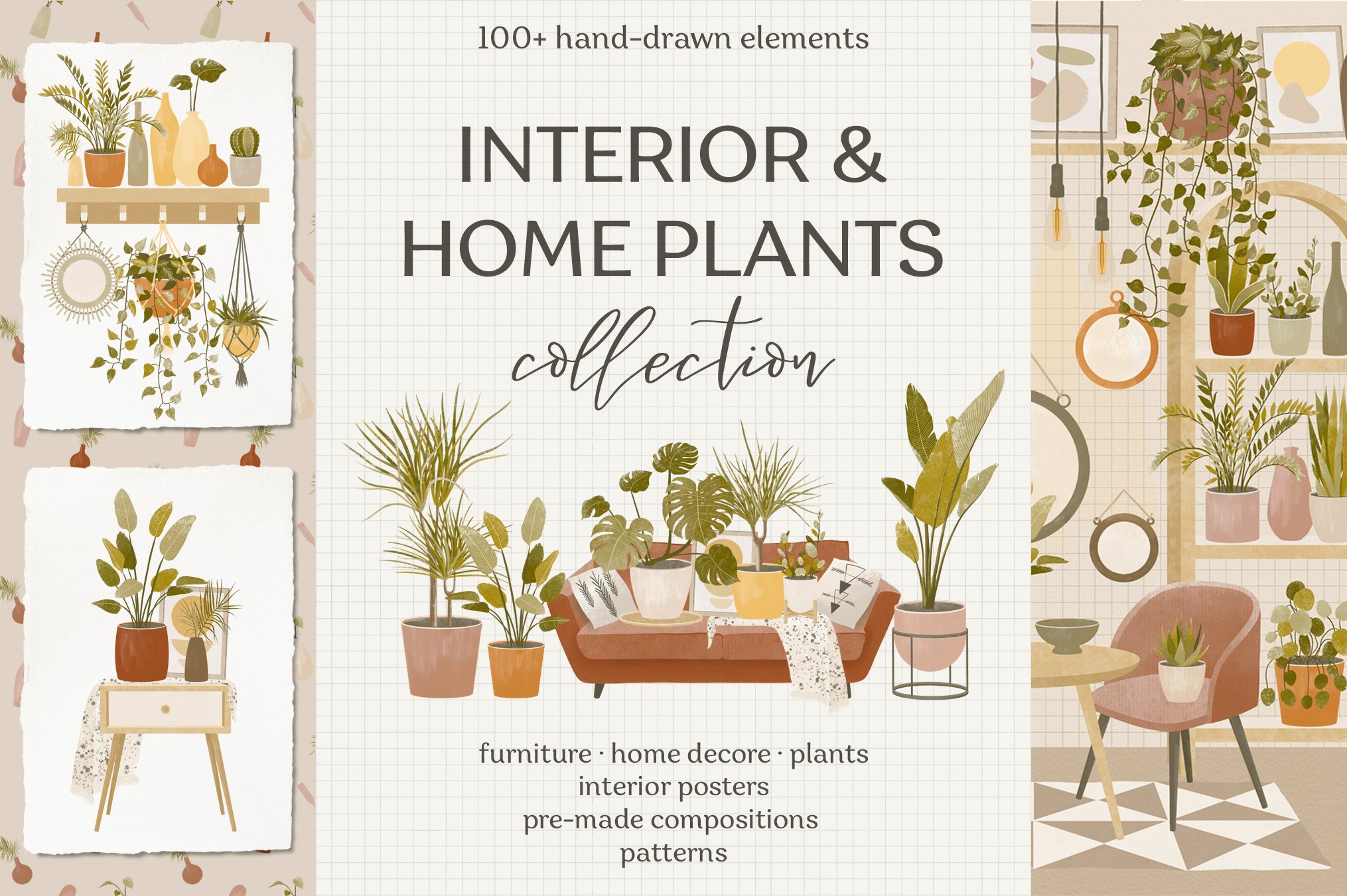 Interior & home plants collection cover image.