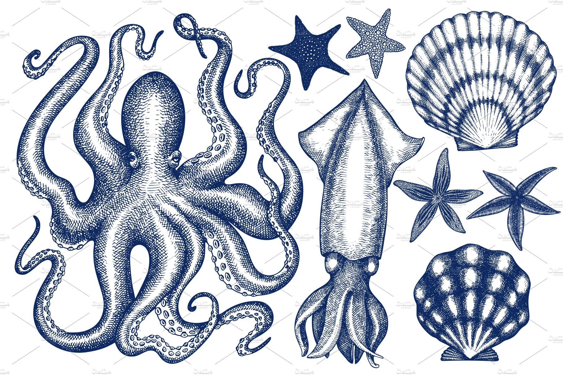 Seafood Vector Collection #2 preview image.