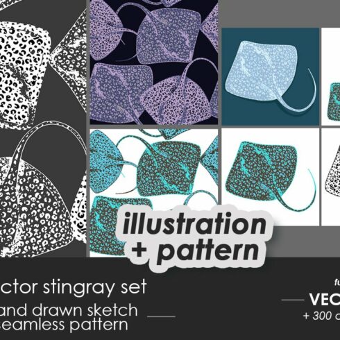 Stingray fish illustrations, pattern cover image.