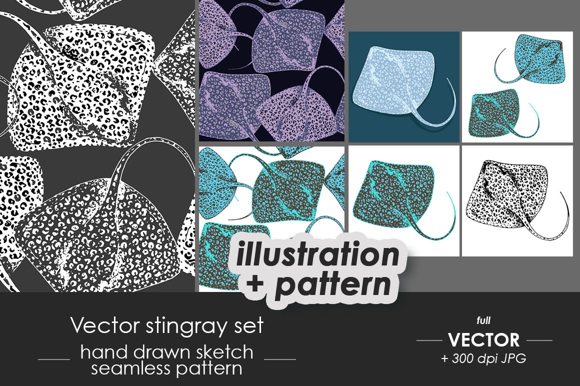 Stingray fish illustrations, pattern cover image.