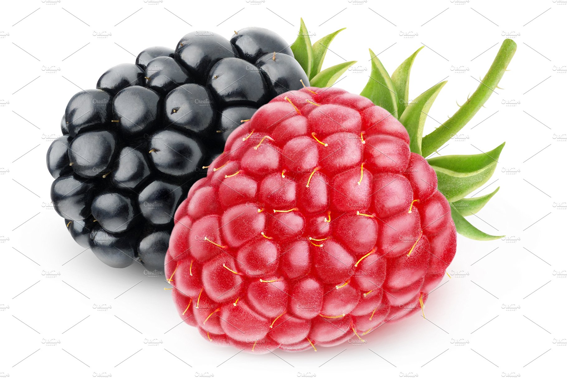 Raspberry and blackberry cover image.