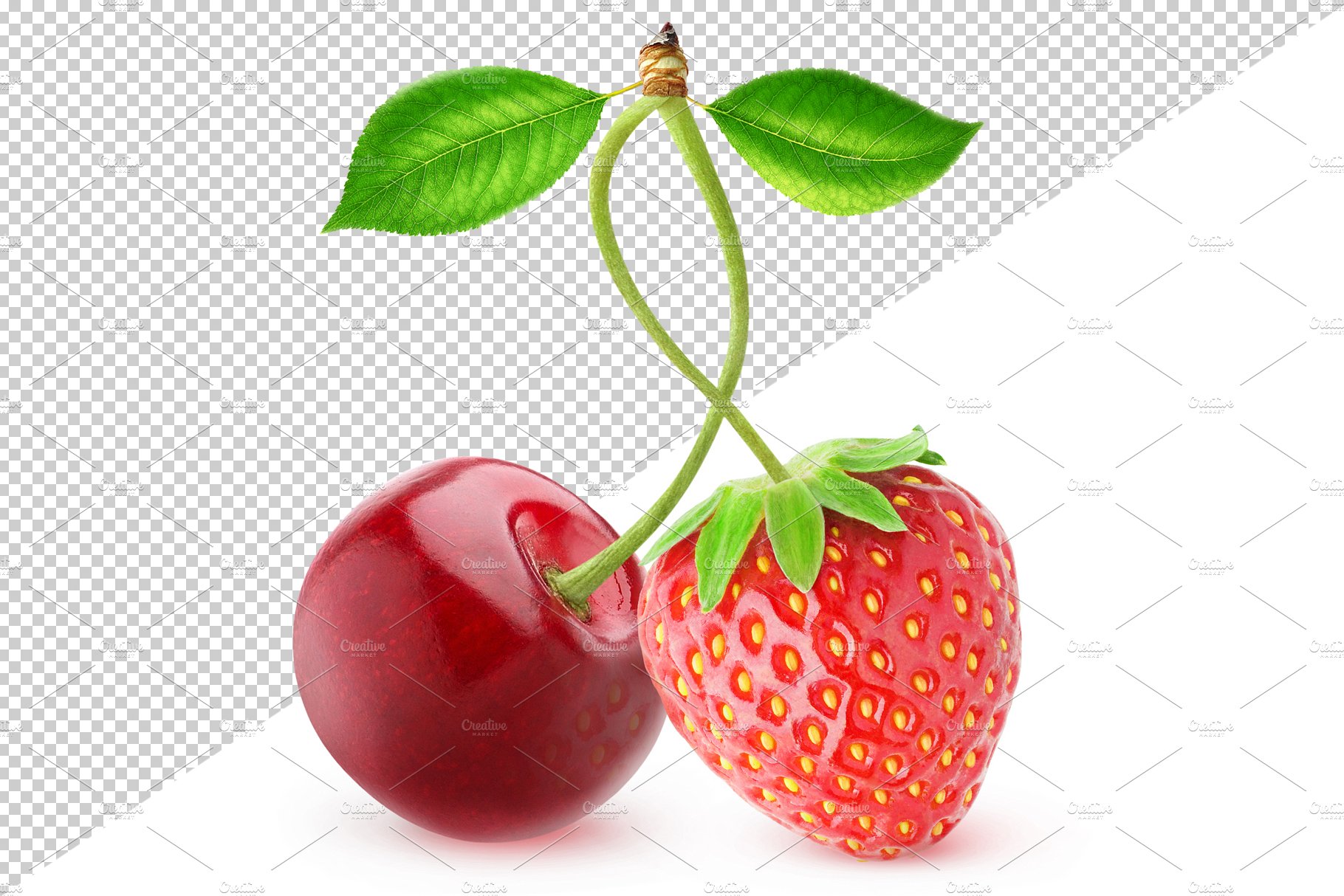 Different berries on one stem preview image.