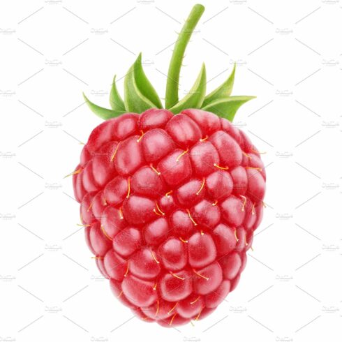One raspberry cover image.