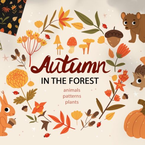 Autumn in the forest cover image.