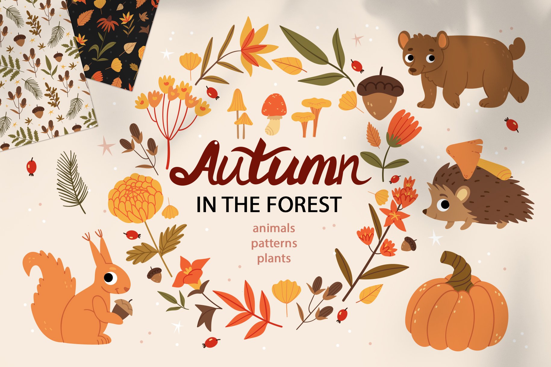 Autumn in the forest cover image.