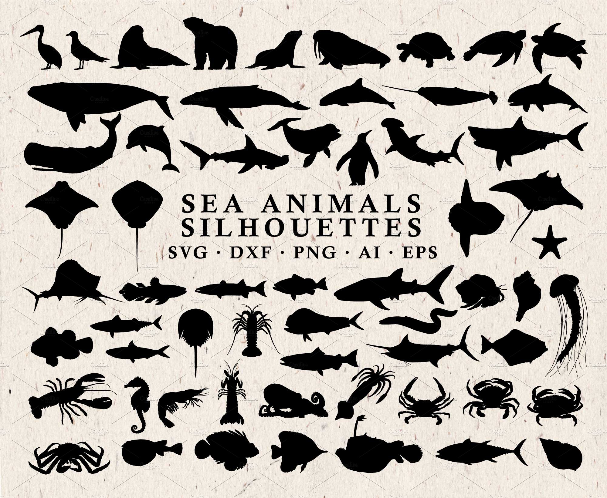 Sea Animals Silhouettes Vector Pack cover image.
