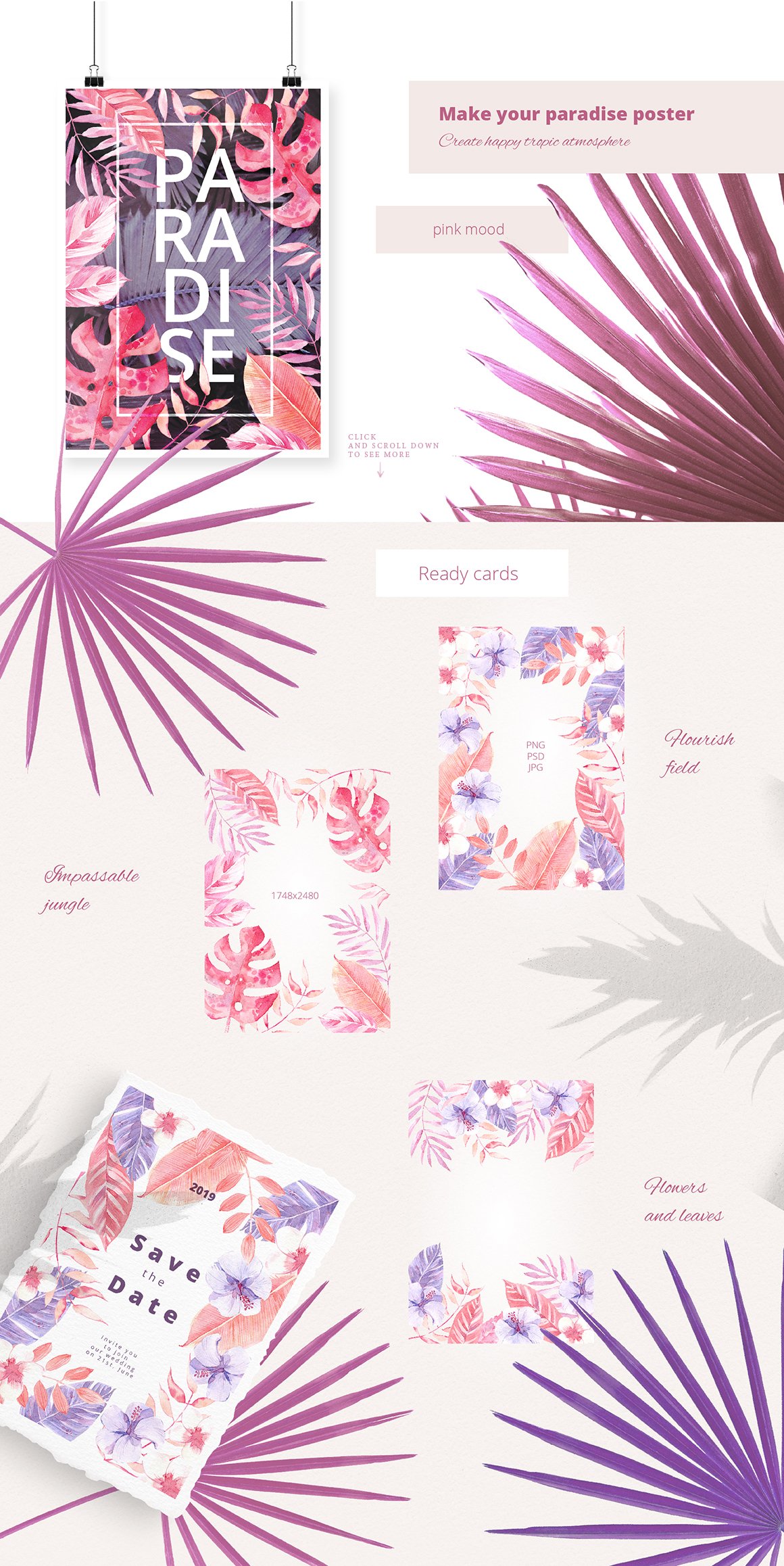 Sunset in the Tropics graphic set. preview image.