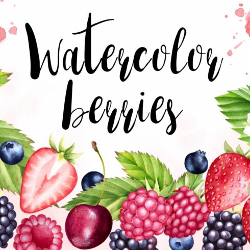 Watercolor berries collection cover image.