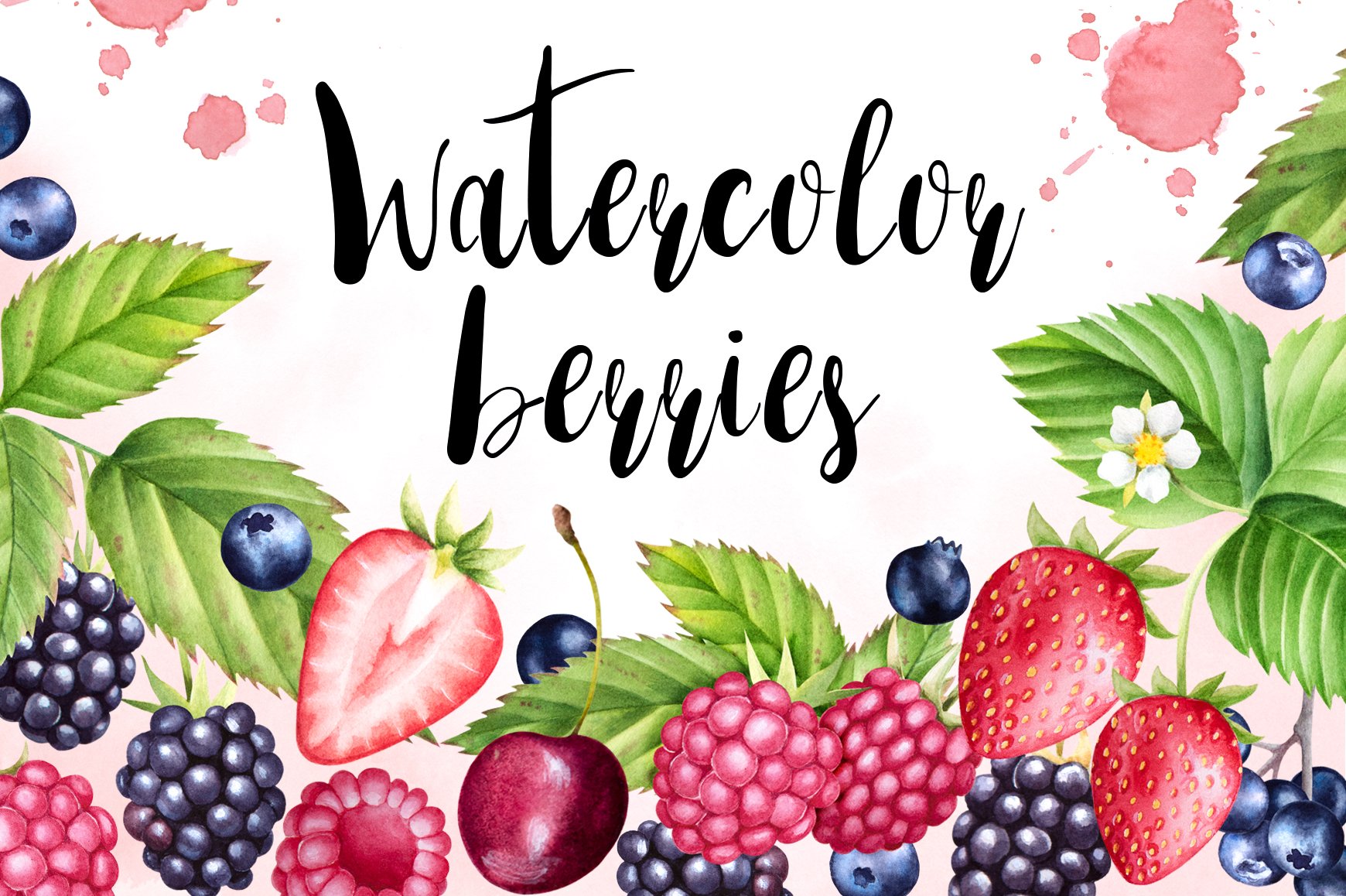 Watercolor berries collection cover image.
