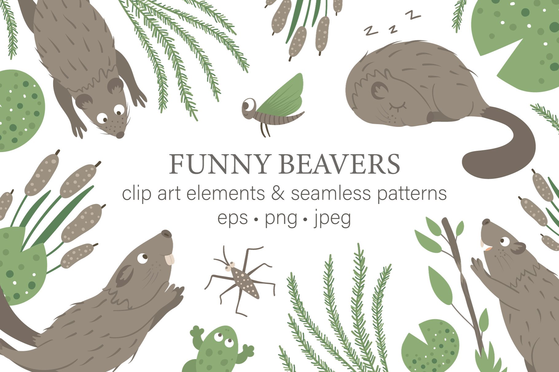 Funny Beavers cover image.