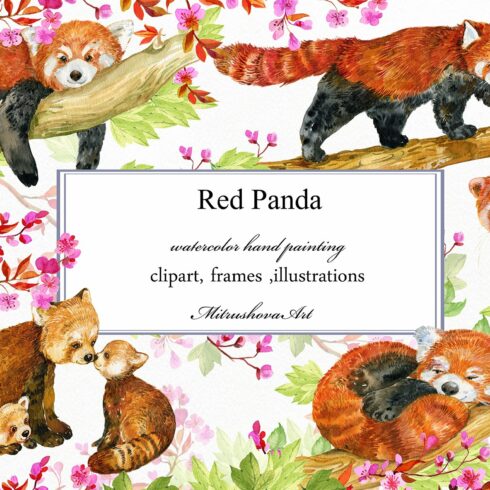 Red Panda ,watercolor illustrations cover image.