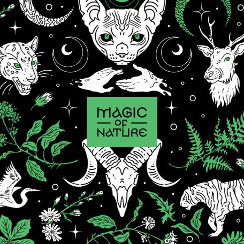 Green Witch. Magic of Nature cover image.