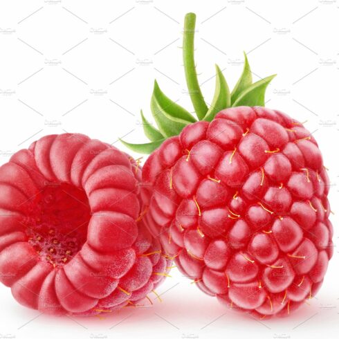 Two raspberries cover image.