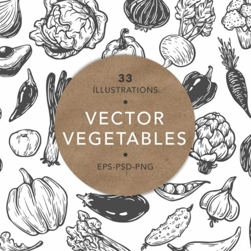 Vector Vegetables. Illustrations. cover image.