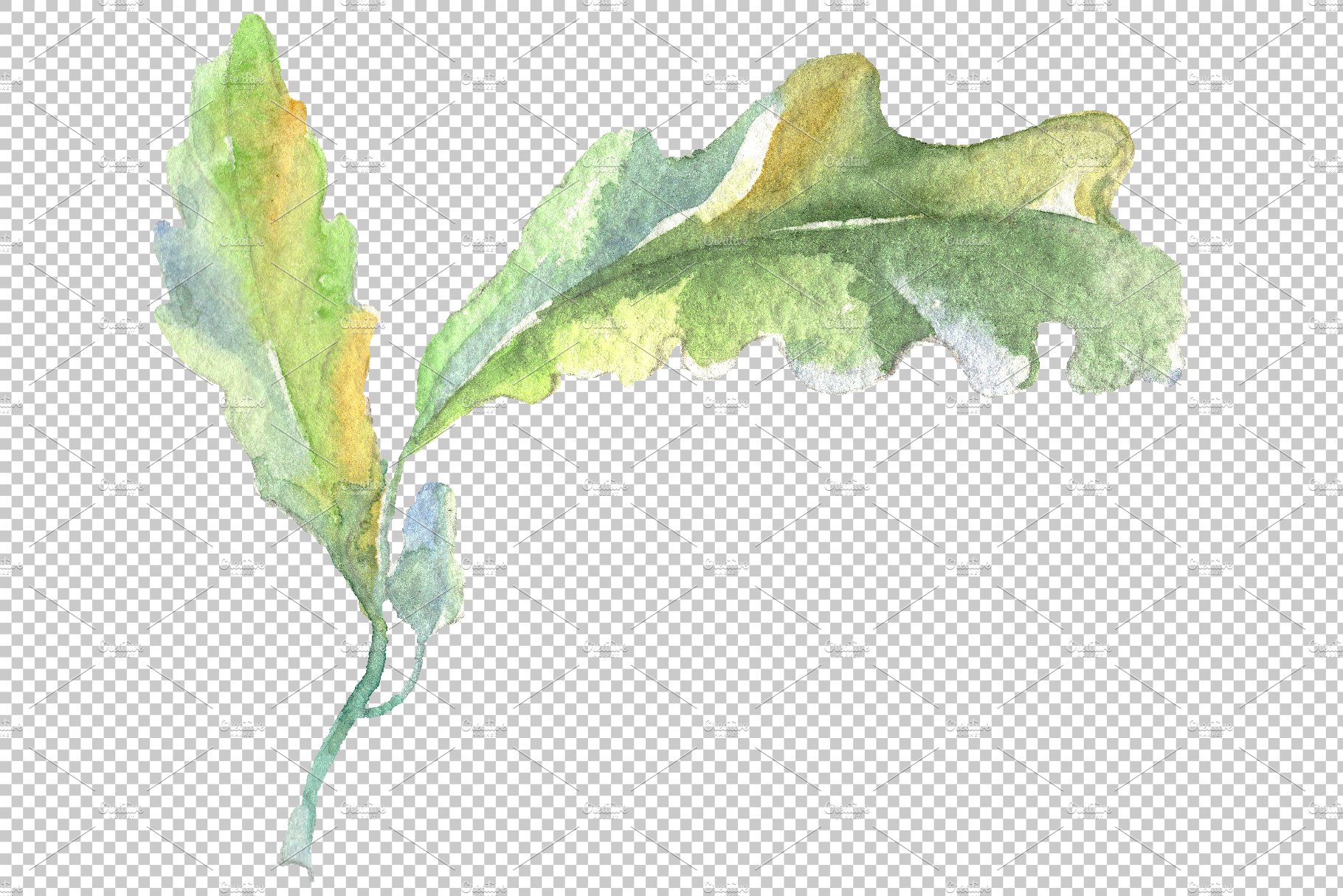 Acorn Watercolor png preview image.