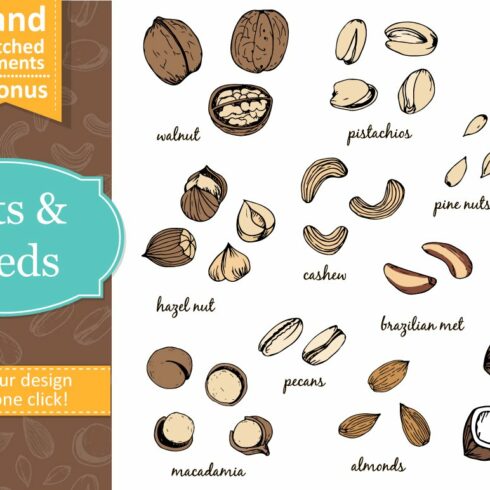 Nuts and seeds with seamless pattern cover image.