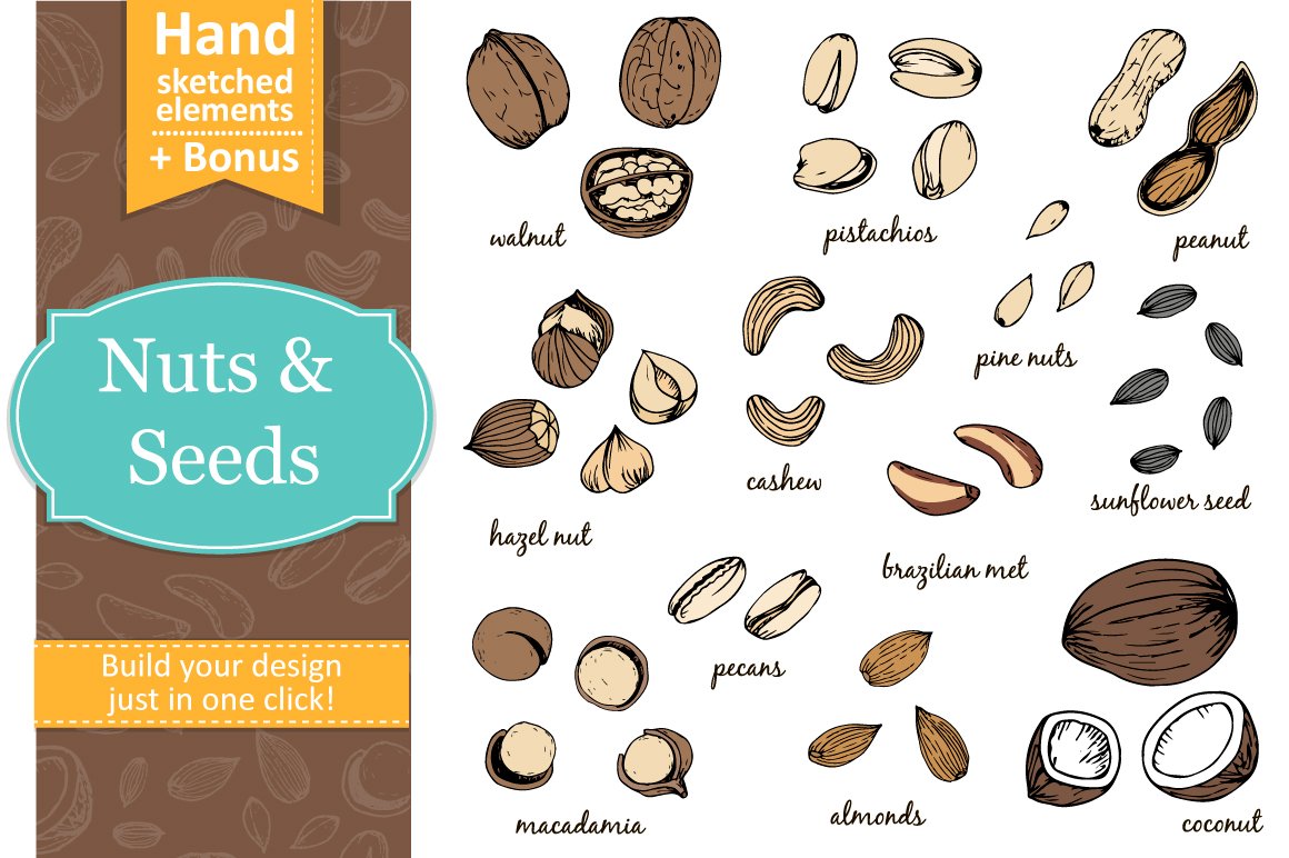 Nuts and seeds with seamless pattern cover image.