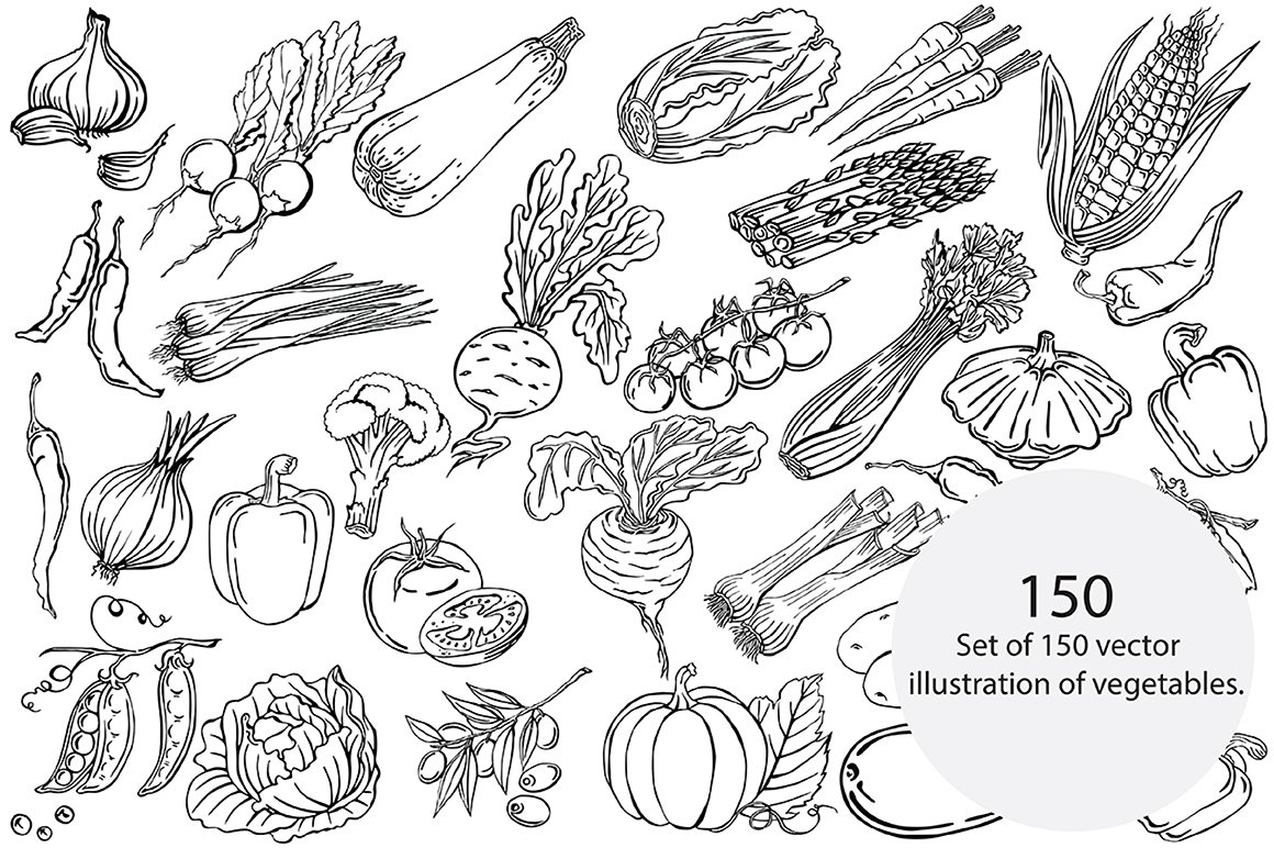 Vector vegetables preview image.